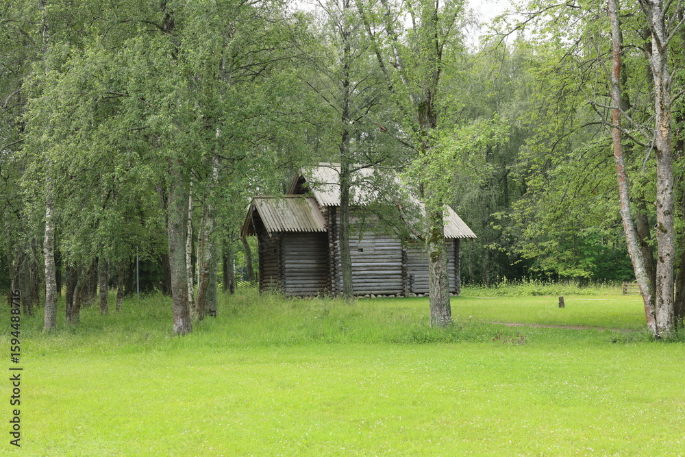 Fototapeta premium A Serene Wooden Cabin Nestled Beautifully Surrounded by Lush Greenery and Peaceful Scenery