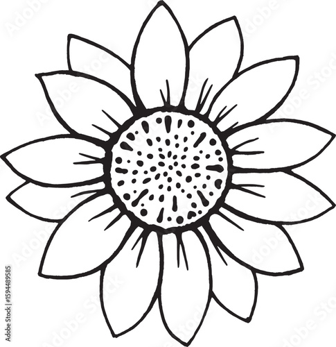 Sunflower line art minimal nature outline elegant simple flower drawing