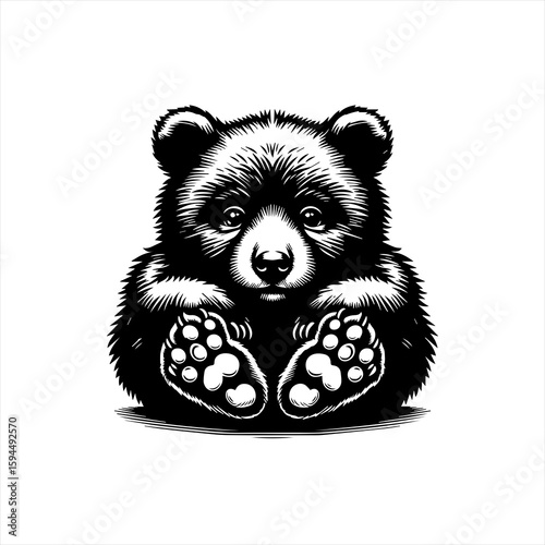 Adorable Baby Bear Sitting with Paws Up.