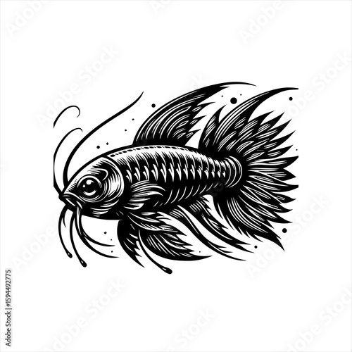 Black and White Betta Fish Illustration.