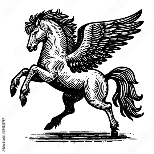 Rearing Pegasus with Detailed Wings and Monochrome Engraving Style Illustration Art