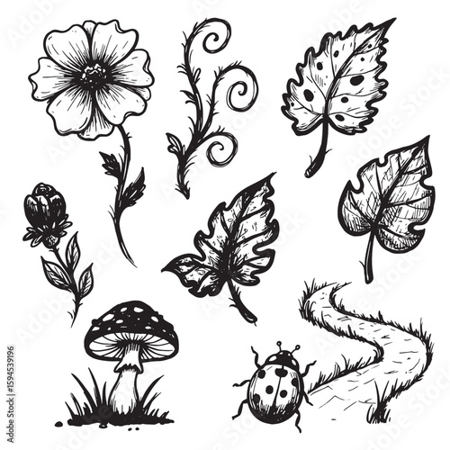 Hand drawn botanical elements illustration featuring flowers leaves mushroom and ladybug in monochrome style