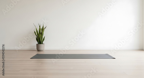 Minimalist yoga studio floor with plant and mat