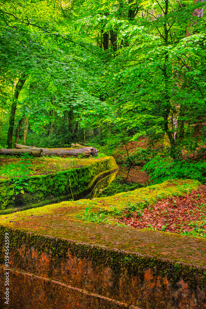 Fototapeta premium The Rigole de la Montagne Noire is an irrigation channel located in the Tarn department of France. It was built in the 19th century to supply water to the Canal du Midi, bringing water from the Montag
