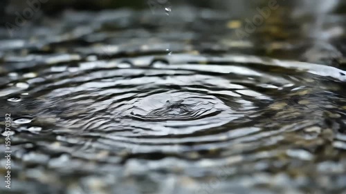 Concentric ripples from water drops on a wet, reflective surface create an abstract blue liquid texture with clear reflections spuper quality HD video footage
high quality cenematic nature video