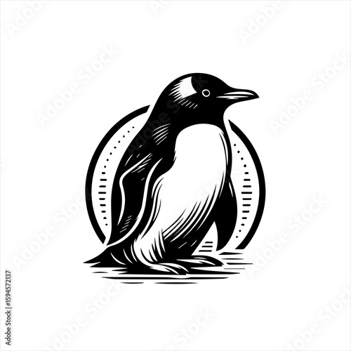 Penguin illustration isolated on white background