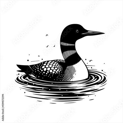 Loon swimming in water
