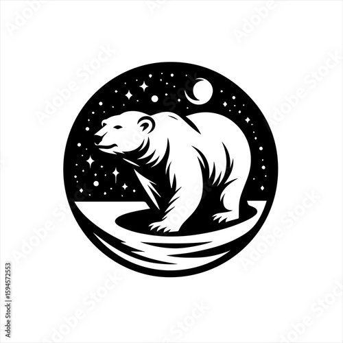 A polar bear under stars