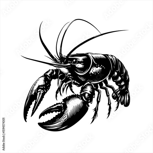 Ornate lobster illustration