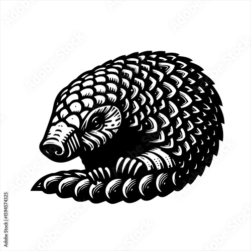Pangolin curled up