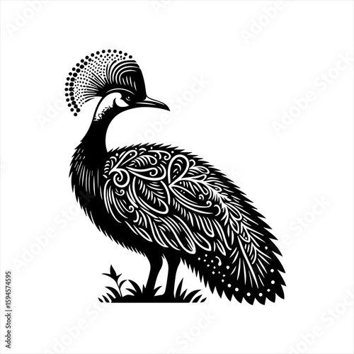 Ornate bird with feathered crest