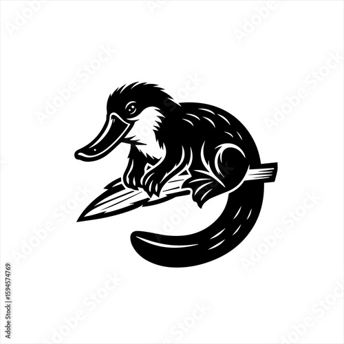 Platypus illustration isolated on white