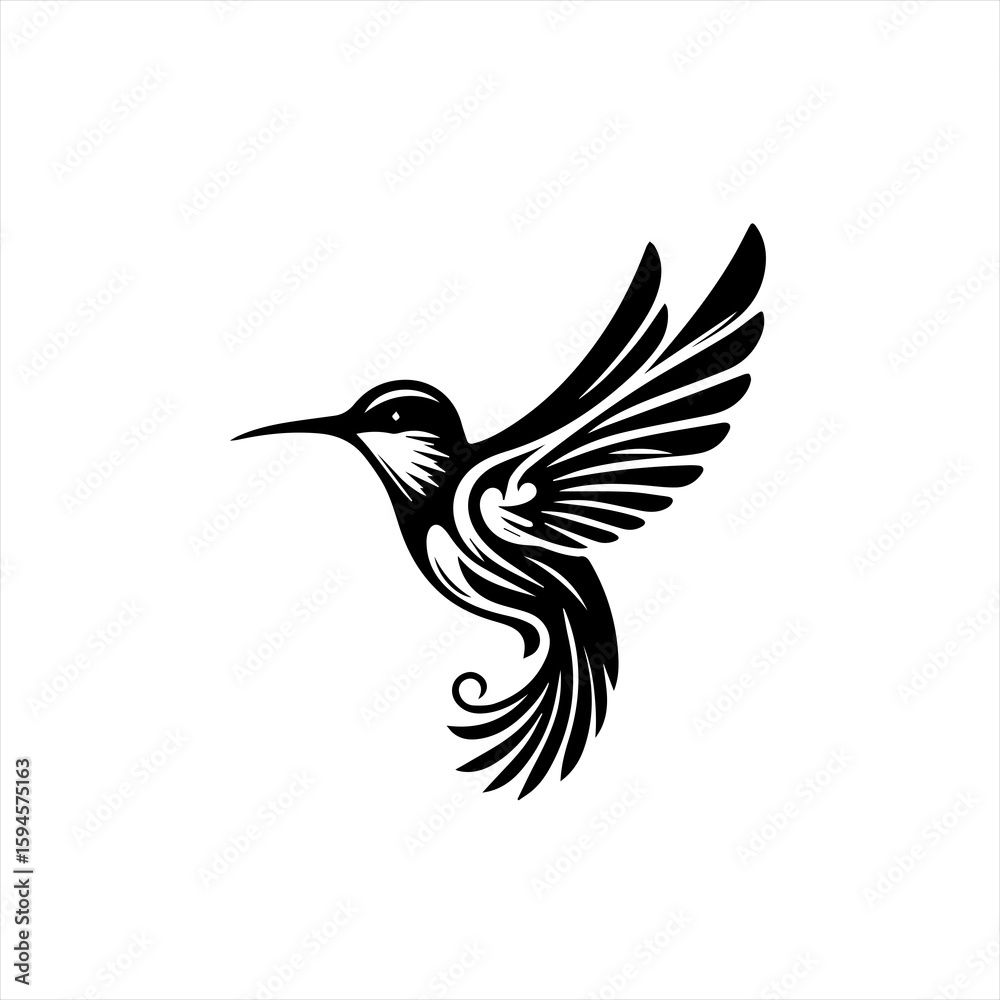 Obraz premium Hummingbird in flight