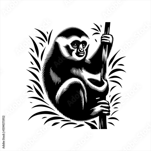 Gibbon hanging on a branch