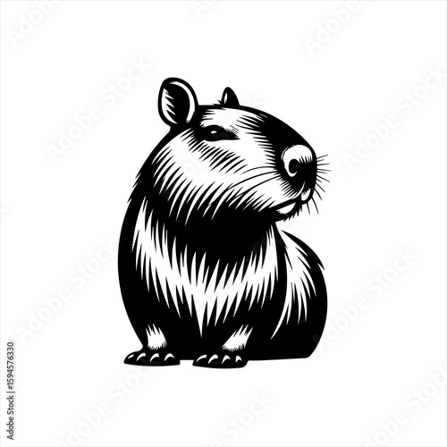 Charming capybara illustration