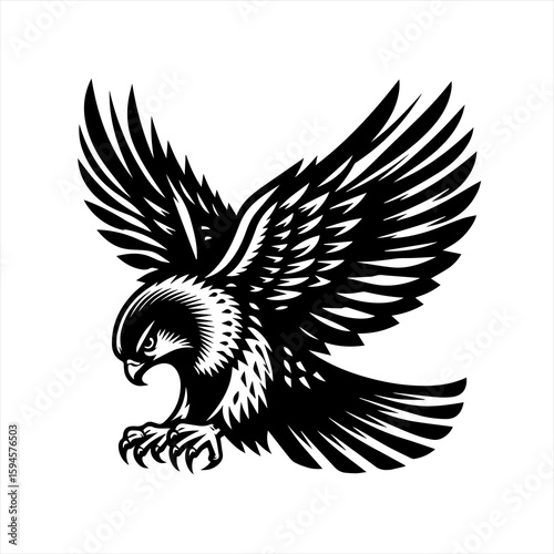 Eagle in flight with wings spread