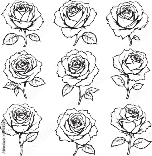 Rose line art; nature inspired invited grace timeless charm
