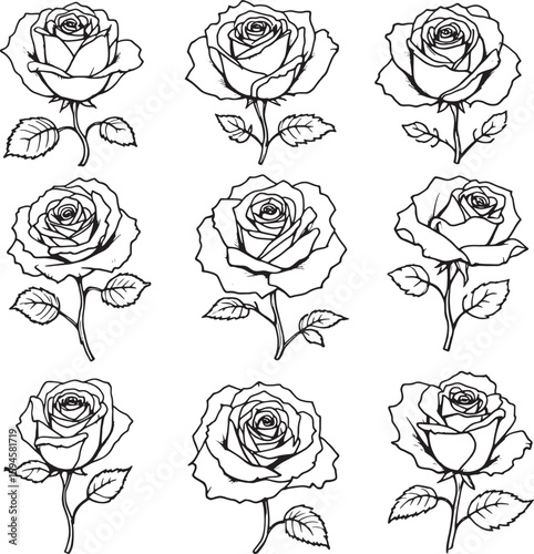 Rose line art; nature inspired invited grace timeless charm