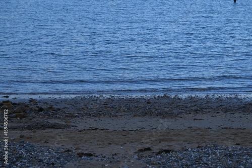 Fototapeta Naklejka Na Ścianę i Meble -  sea waves on the beach