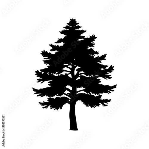  larch tree ,Larix decidua,Slovenia,tree,trunk,bark,silhouette,cutout,icon, logo,clipart, simple, solitary,old, ,ancient,lone,high contrast, shadow,black,single,solid Colour,isolated, transparent,back