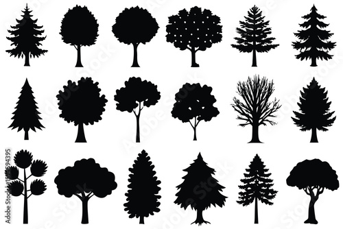 Black Silhouettes of Assorted Deciduous and Evergreen Tree Types on a White Background