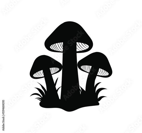 vector illustration of mushrooms