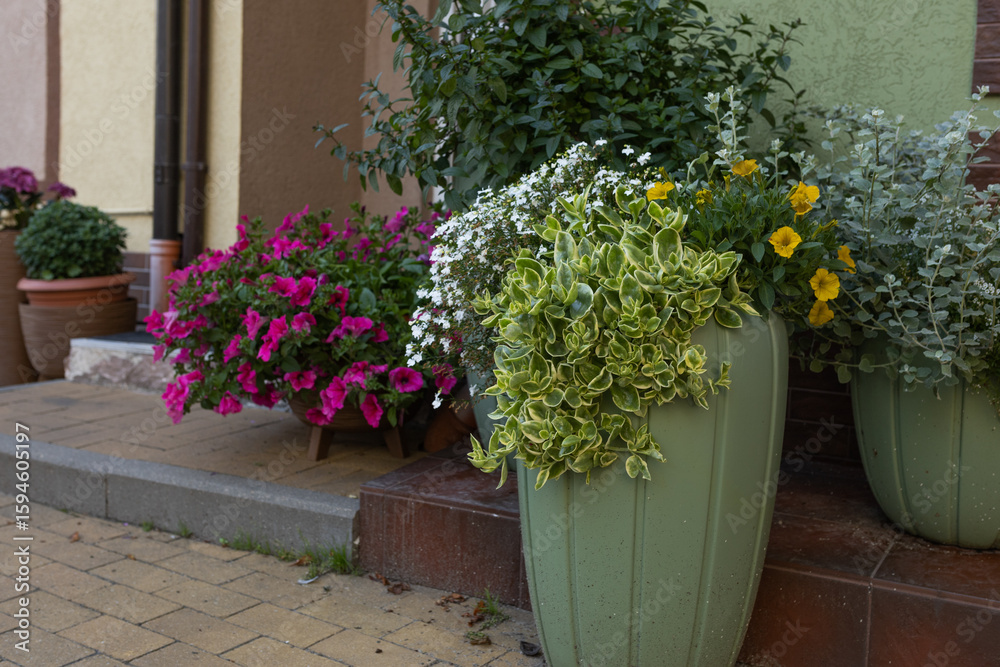 Fototapeta premium flower pots on the street at the exit from the house