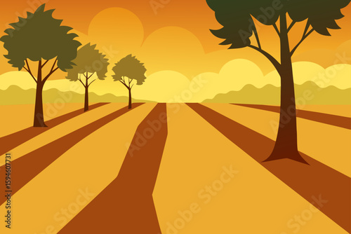 Shadows of Trees Stretched Across Open Field in Warm Light