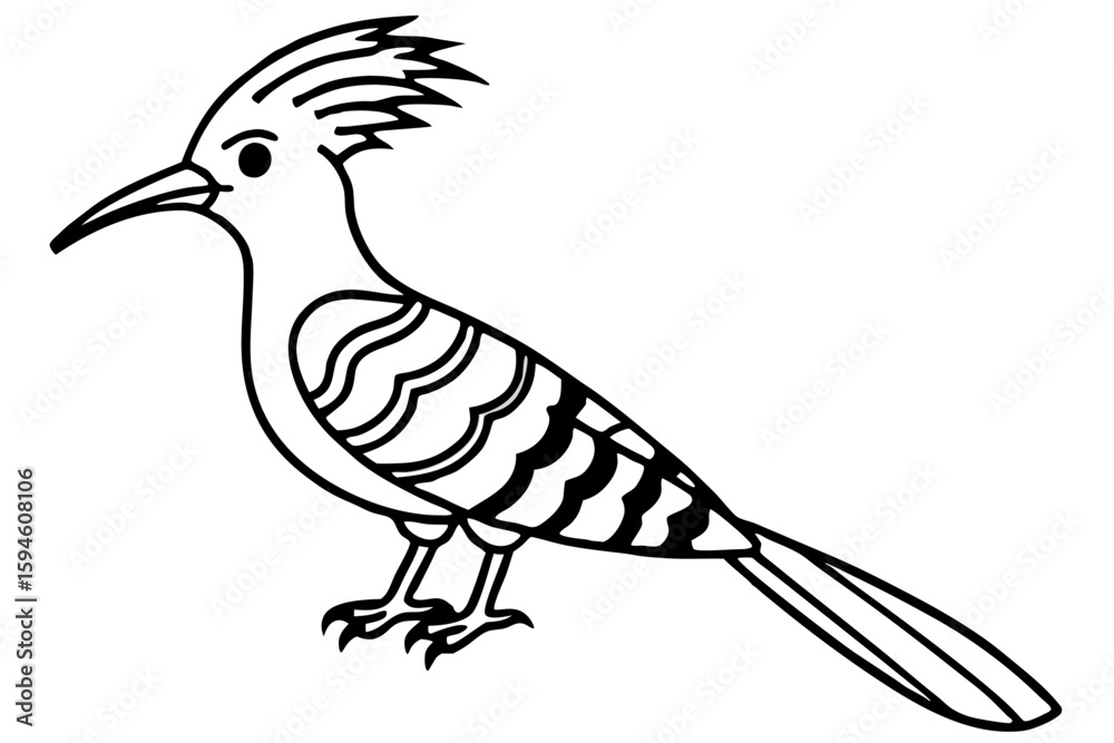 Fototapeta premium Stylized Hoopoe Line Drawing