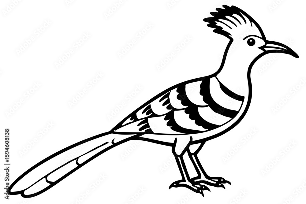 Fototapeta premium Stylized Hoopoe Line Drawing