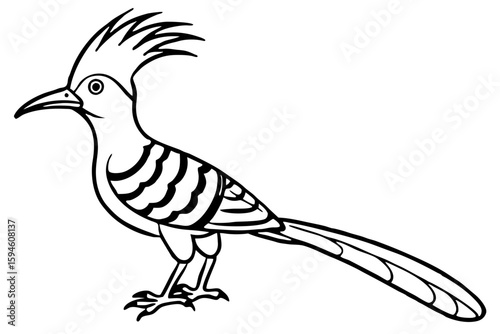 Stylized Hoopoe Line Drawing