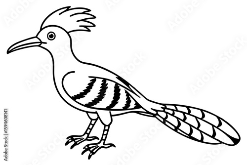 Stylized Hoopoe Line Drawing