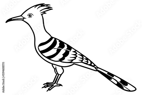 Stylized Hoopoe Line Drawing