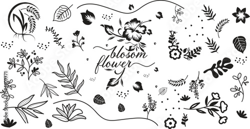 Flowers and Leaves Design Elements