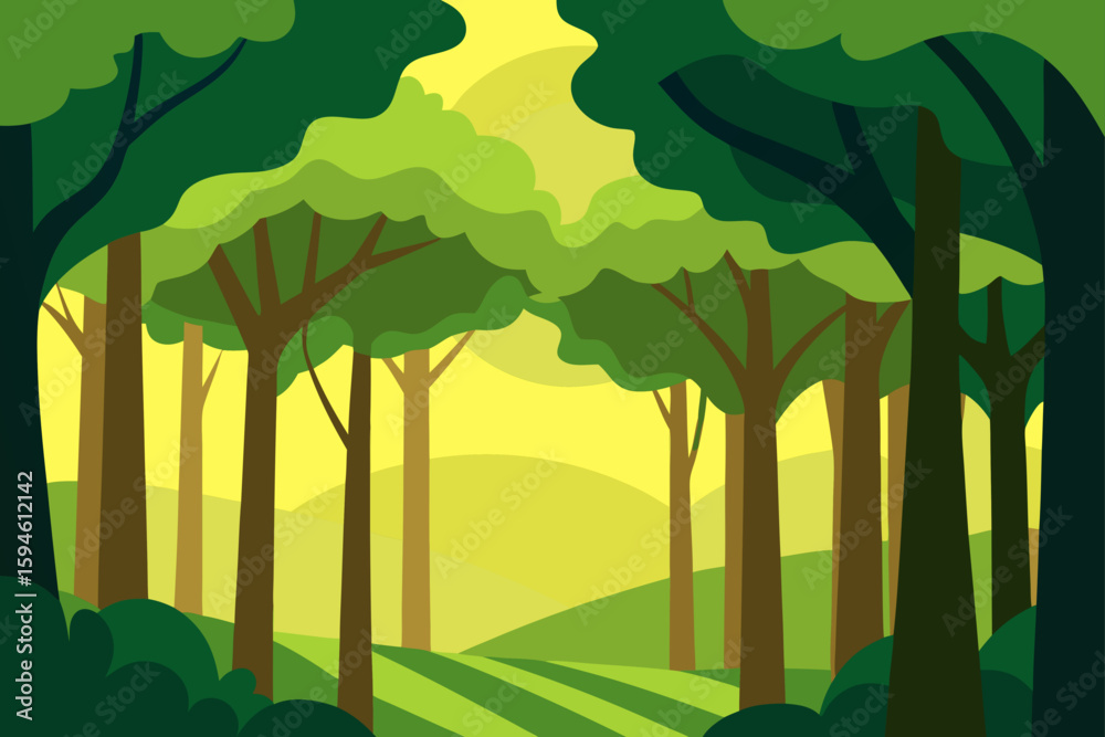 Fototapeta premium canopy forest with filtered light