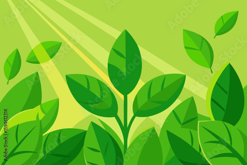 fresh green foliage in sunlight