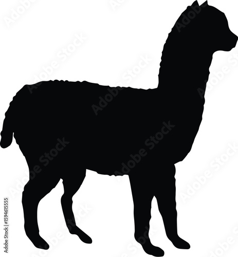 The alpaca silhouette is isolated on transparent background