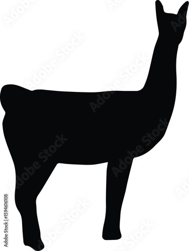 A black silhouette of a llama stands gracefully, isolated on transparent background