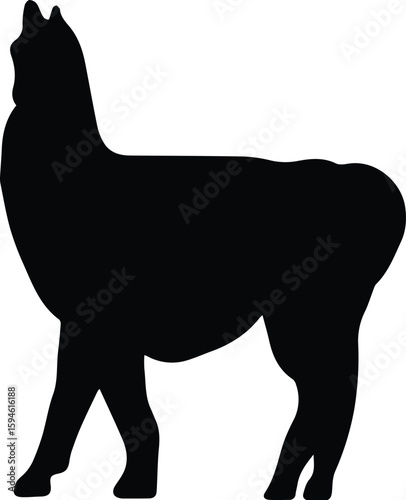 Silhouette of a llama isolated on transparent background stands peacefully