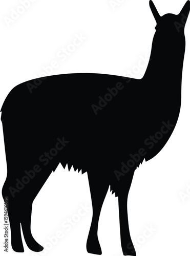 A black silhouette of a llama isolated on transparent background