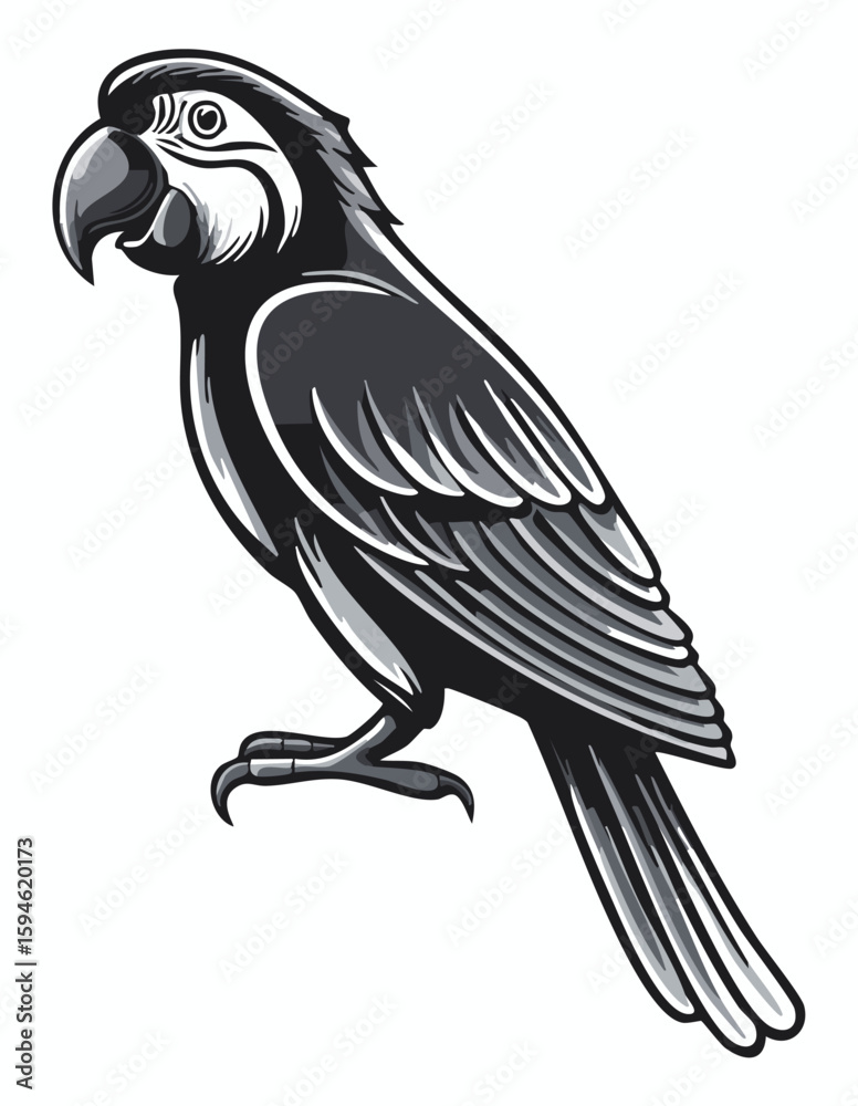 Fototapeta premium Parrot illustration for logo and design