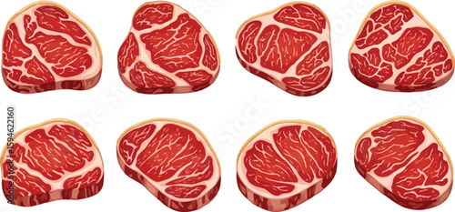 Fresh raw beef steak cuts collection vector illustration for butcher shop and meat product design vector
