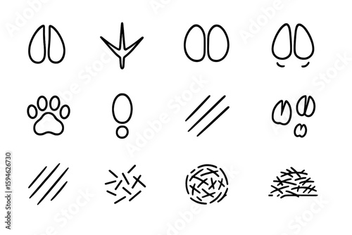 Animal footprint and track illustrations featuring various patterns