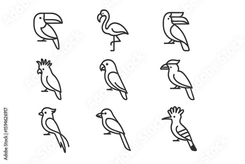 Stylized bird icons featuring toucan, flamingo, parrot, and cockatoo silhouettes