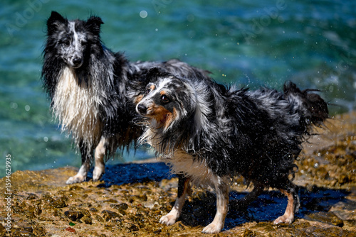 HRV, Kroatien, Brac, Insel in Dalmatien, Milna