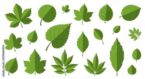 Assorted Green Leaf Illustrations with Geometric Style and Subtle Shadows
