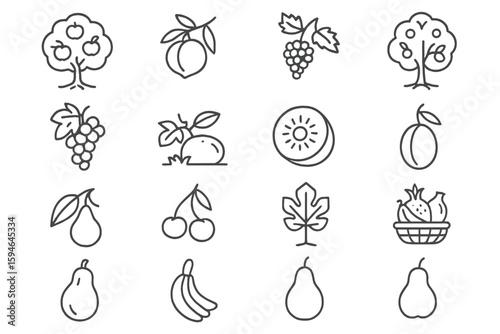 Outline icons of fruit and trees on gray striped background