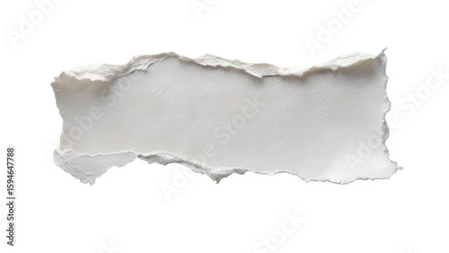 A torn piece of textured paper with rough edges, isolated on a clean transparent background, offering ample copy space