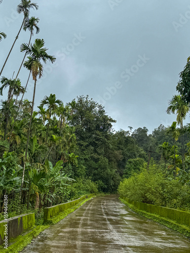 Roads of western ghats during rainfall