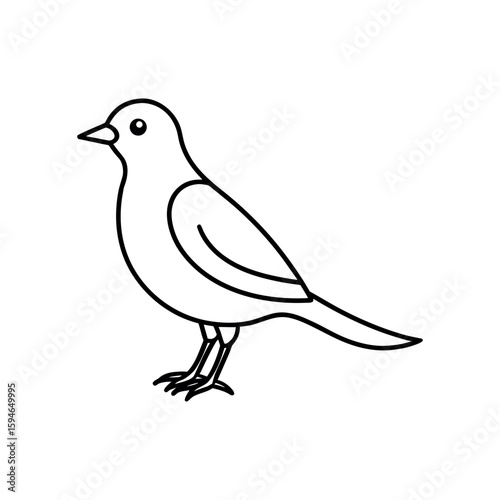 A lark line art vector illustration.